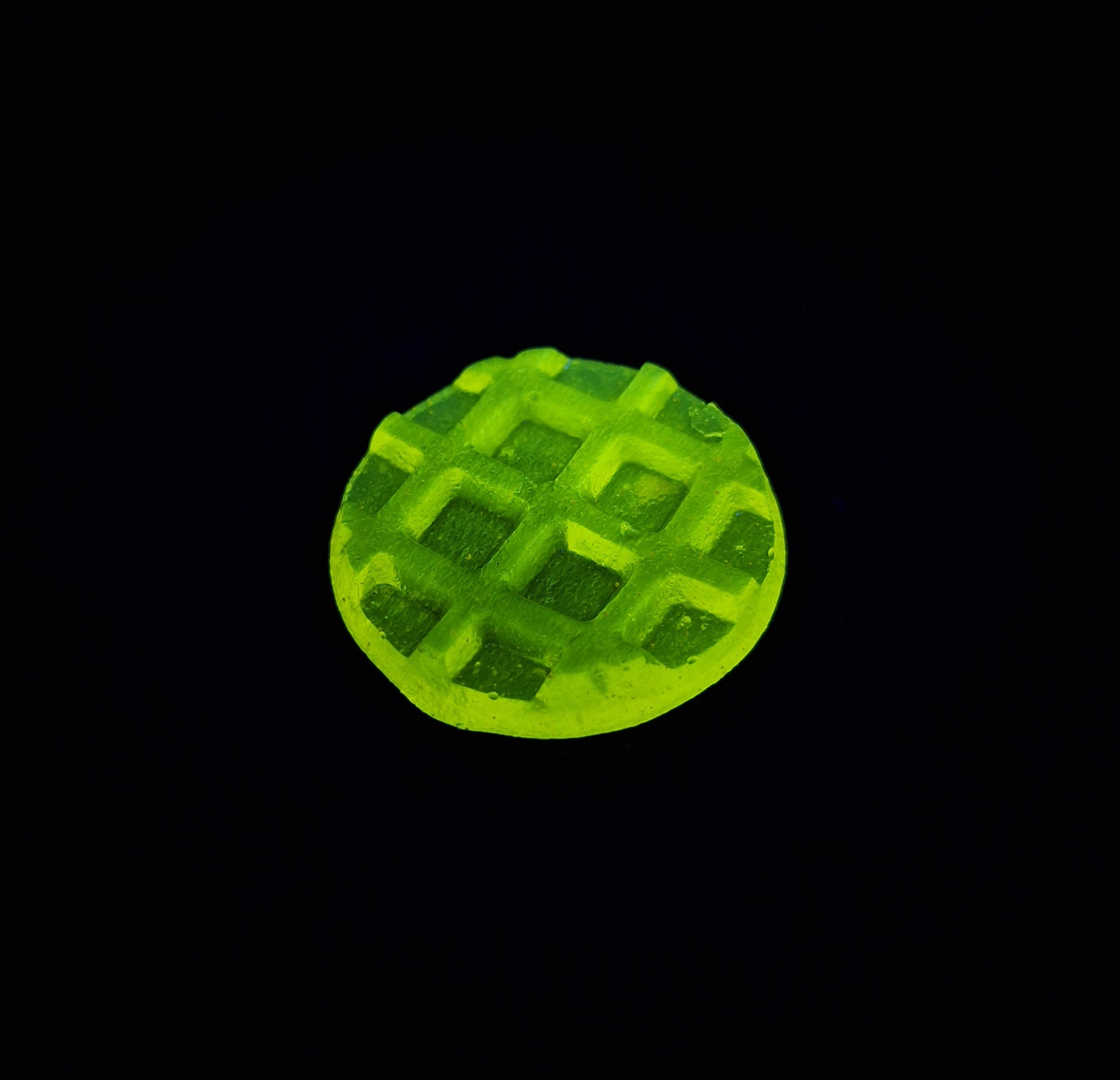 glowing jelly 3