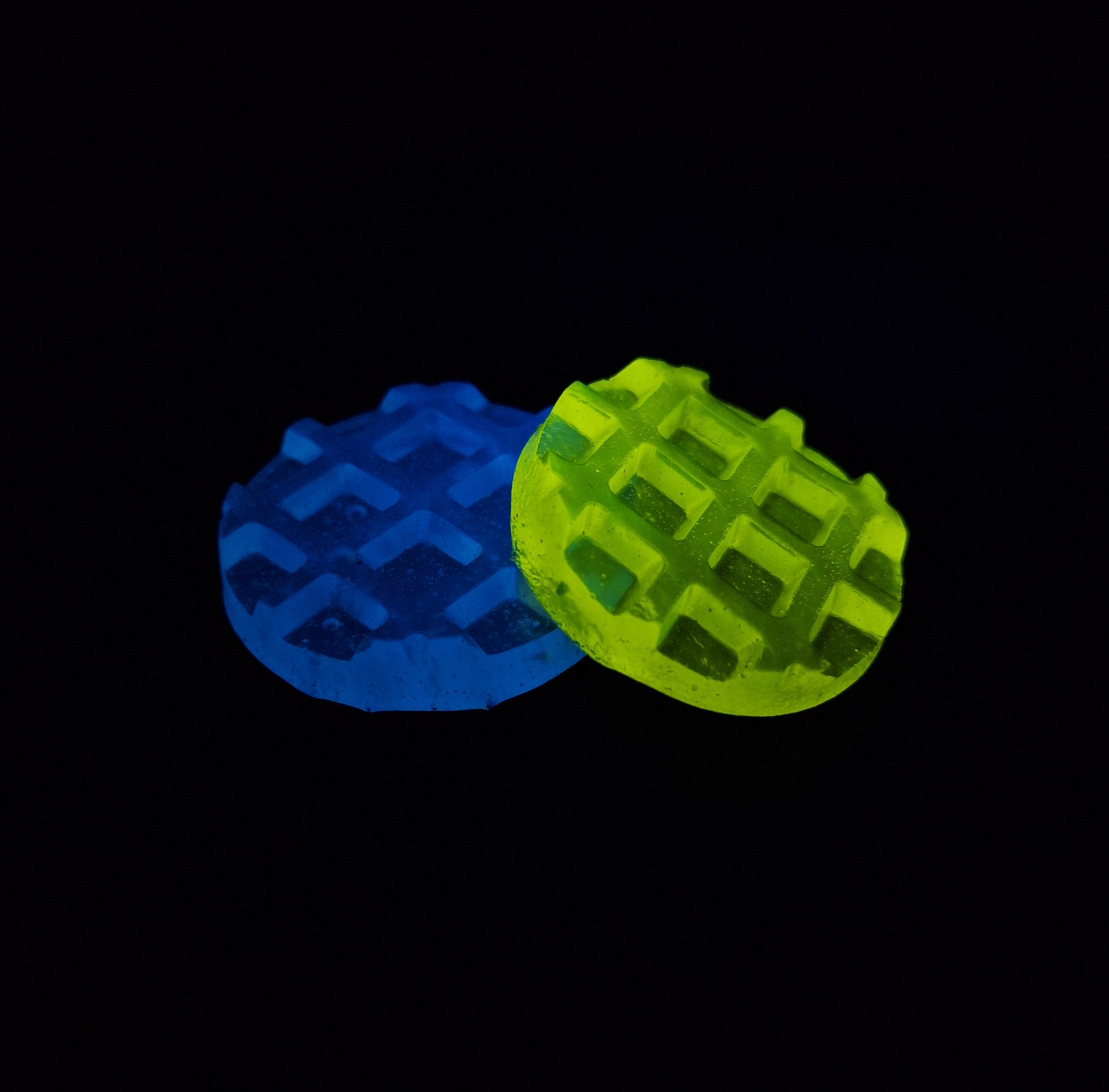 glowing jelly 1